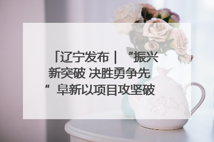 辽宁发布｜“振兴新突破 决胜勇争先”阜新以项目攻坚破解发展瓶颈 经济发展实现良好开局
