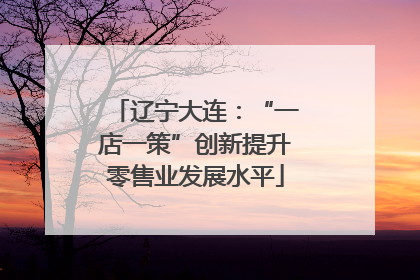 辽宁大连：“一店一策”创新提升零售业发展水平