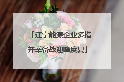辽宁能源企业多措并举备战迎峰度夏