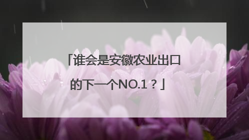 谁会是安徽农业出口的下一个NO.1？
