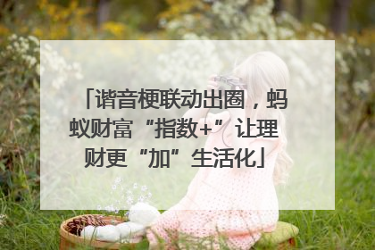 谐音梗联动出圈，蚂蚁财富“指数+”让理财更“加”生活化