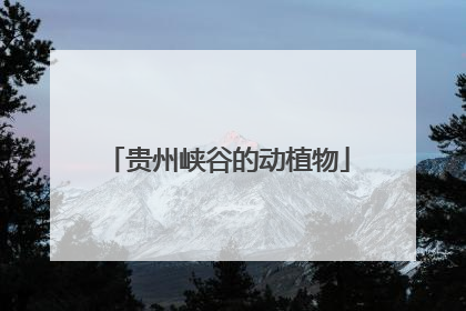 贵州峡谷的动植物