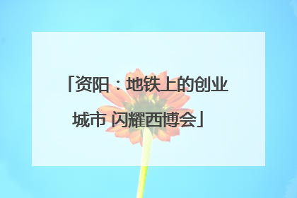 资阳：地铁上的创业城市 闪耀西博会
