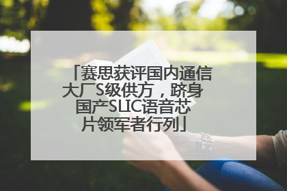 赛思获评国内通信大厂S级供方，跻身国产SLIC语音芯片领军者行列