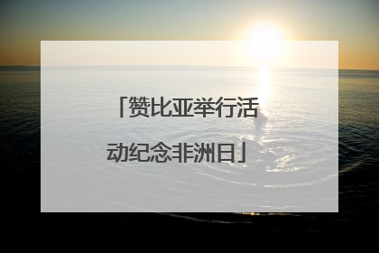 赞比亚举行活动纪念非洲日