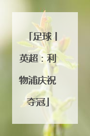 足球丨英超：利物浦庆祝夺冠