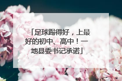 足球踢得好，上最好的初中、高中！一地县委书记承诺