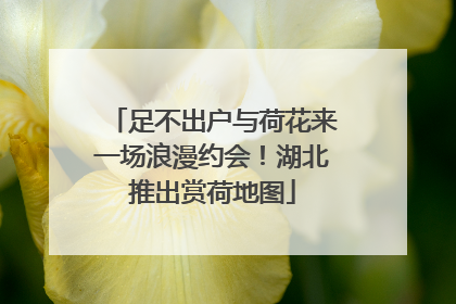 足不出户与荷花来一场浪漫约会！湖北推出赏荷地图