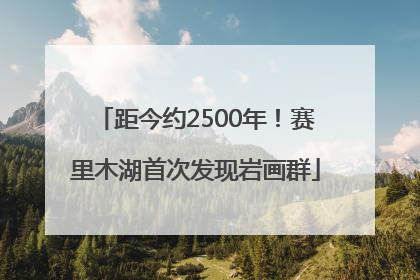 距今约2500年！赛里木湖首次发现岩画群