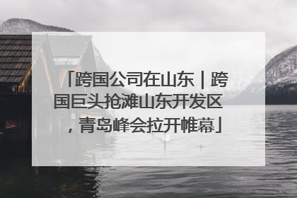 跨国公司在山东|跨国巨头抢滩山东开发区,青岛峰会拉开帷幕