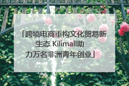 跨境电商重构文化贸易新生态 Kilimall助力万名非洲青年创业