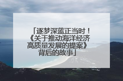 逐梦深蓝正当时！《关于推动海洋经济高质量发展的提案》背后的故事