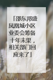 邵东邦盛凤凰城小区业委会筹备十年未果，相关部门回应来了