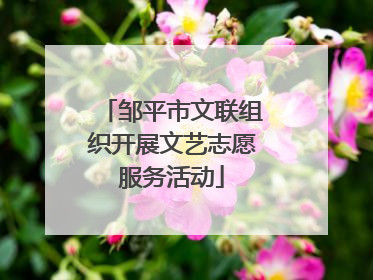 邹平市文联组织开展文艺志愿服务活动
