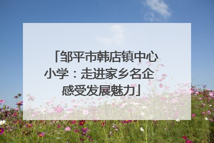 邹平市韩店镇中心小学：走进家乡名企 感受发展魅力