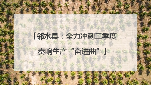 邻水县：全力冲刺二季度 奏响生产“奋进曲”