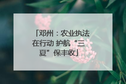 邓州：农业执法在行动 护航“三夏”保丰收