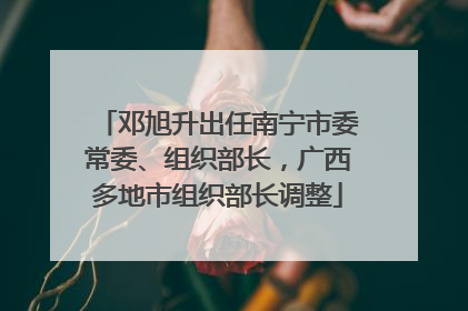 邓旭升出任南宁市委常委、组织部长，广西多地市组织部长调整