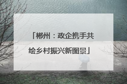 郴州：政企携手共绘乡村振兴新图景