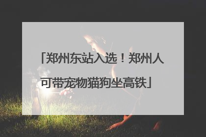 郑州东站入选！郑州人可带宠物猫狗坐高铁