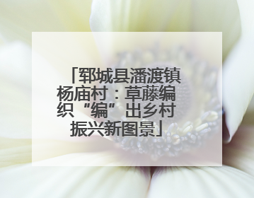郓城县潘渡镇杨庙村：草藤编织“编”出乡村振兴新图景