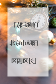 郝宝刚任北京市朝阳区副区长