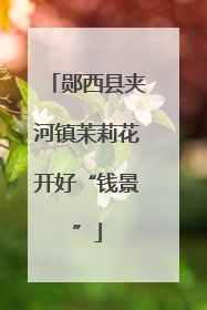 郧西县夹河镇茉莉花开好“钱景”
