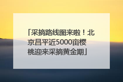 采摘路线图来啦！北京昌平近5000亩樱桃迎来采摘黄金期