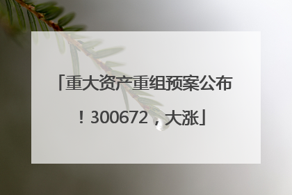 重大资产重组预案公布！300672，大涨