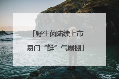野生菌陆续上市 易门“鲜”气爆棚