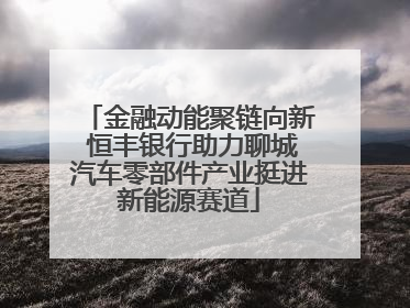 金融动能聚链向新 恒丰银行助力聊城汽车零部件产业挺进新能源赛道