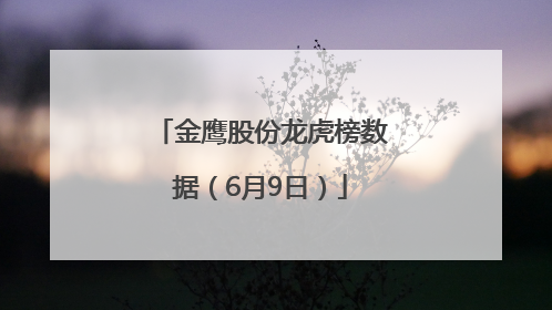 金鹰股份龙虎榜数据（6月9日）