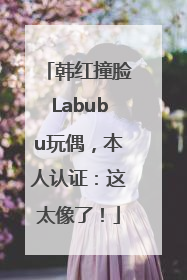 韩红撞脸Labubu玩偶，本人认证：这太像了！