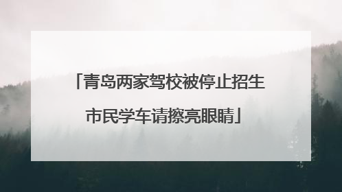 青岛两家驾校被停止招生 市民学车请擦亮眼睛