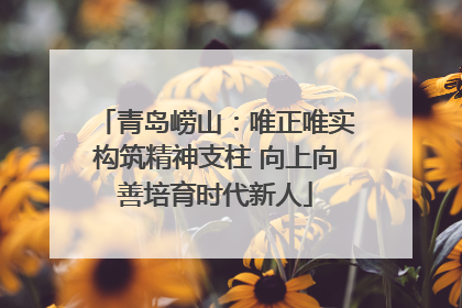 青岛崂山：唯正唯实构筑精神支柱 向上向善培育时代新人