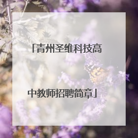 青州圣维科技高中教师招聘简章