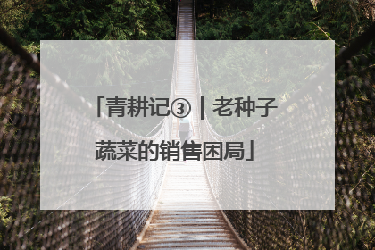 青耕记③｜老种子蔬菜的销售困局