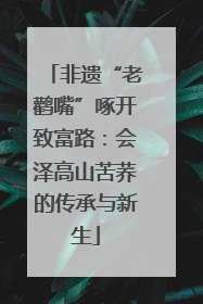 非遗“老鹳嘴”啄开致富路：会泽高山苦荞的传承与新生
