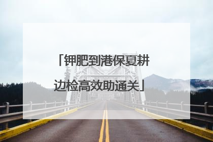 钾肥到港保夏耕 边检高效助通关