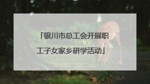银川市总工会开展职工子女家乡研学活动