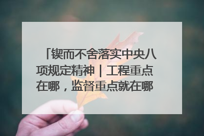 锲而不舍落实中央八项规定精神｜工程重点在哪，监督重点就在哪——广西深化政治监督护航平陆运河建设