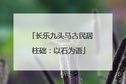 长乐九头马古民居柱础：以石为语