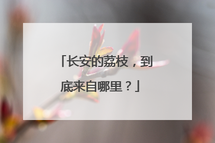 长安的荔枝，到底来自哪里？