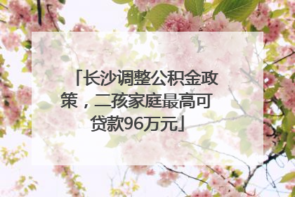长沙调整公积金政策，二孩家庭最高可贷款96万元