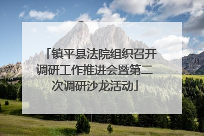 镇平县法院组织召开调研工作推进会暨第二次调研沙龙活动