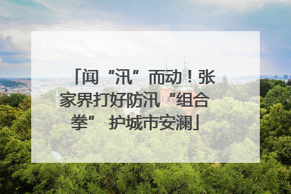 闻“汛”而动！张家界打好防汛“组合拳” 护城市安澜