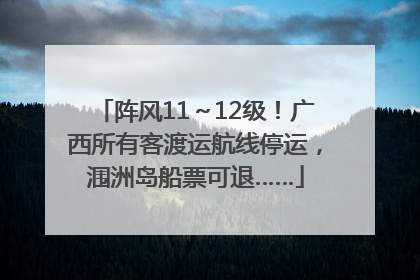 阵风11～12级！广西所有客渡运航线停运，涠洲岛船票可退……