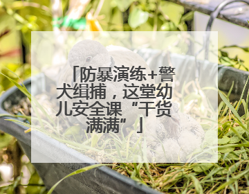 防暴演练+警犬缉捕，这堂幼儿安全课“干货满满”