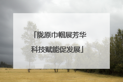 陇原巾帼展芳华 科技赋能促发展