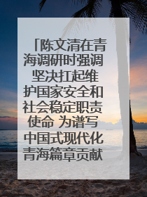 陈文清在青海调研时强调 坚决扛起维护国家安全和社会稳定职责使命 为谱写中国式现代化青海篇章贡献政法力量